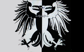banner skidbladnir